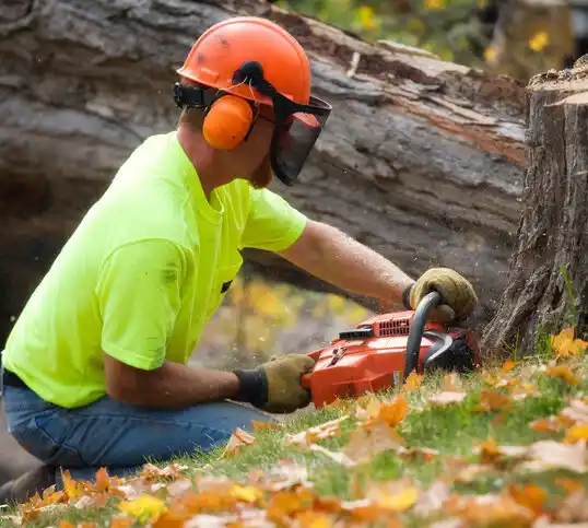 tree services McBain